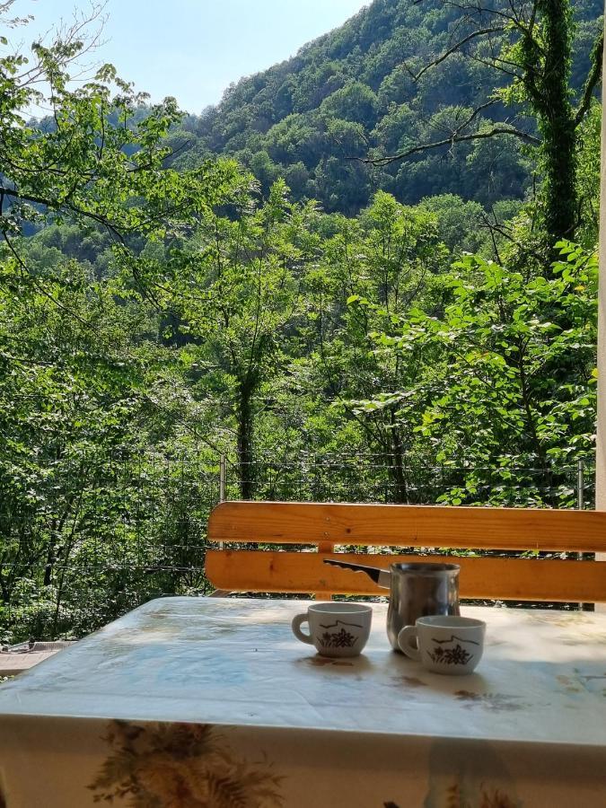 Glamping House ˇvitaˇ Hotel Tolmin Buitenkant foto